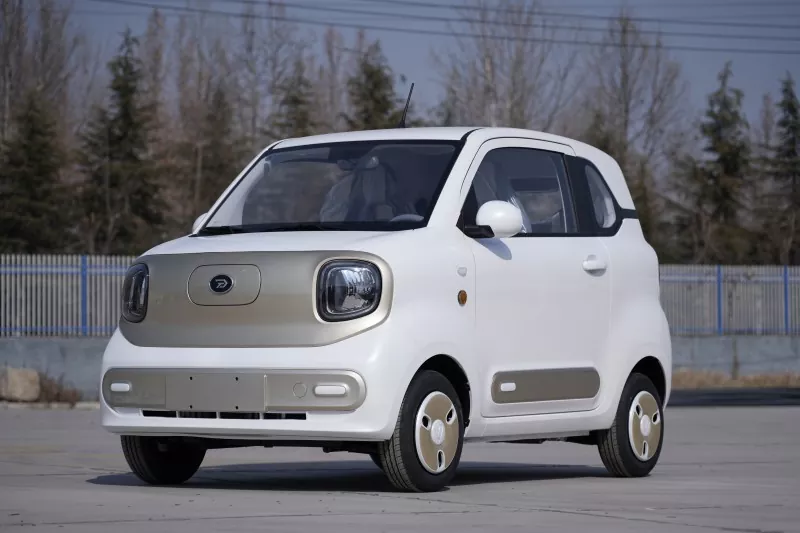 سيارة EEC COC Electric Mini